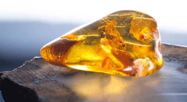 Amber Taşının Faydaları Amber Taşının Faydaları