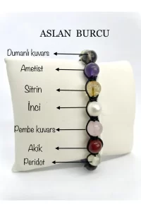 Aslan Burcu Taşının Özellikleri