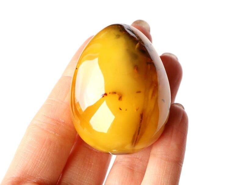 Amber Taşı Amber Taşı
