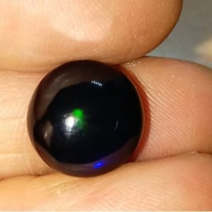 Opal Opal