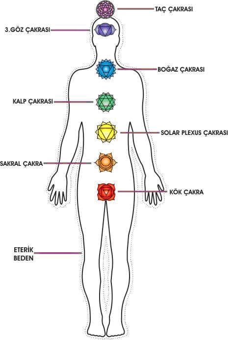 Sakral Çakranın Fonksiyonları Sakral Çakranın Fonksiyonları